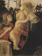 Madonna of the Rose Garden or Madonna and Child with St john the Baptist (mk36) Botticelli